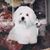Kellie Green Bruce's profile image