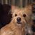 Rhonda Neth Bledsoe's profile image