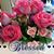 Marilyn Murphy's profile image