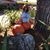 Lorena B Altamirano's profile image