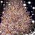 Joan O'Neill's profile image