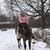 Kelsey Renee Bishop's profile image