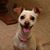 Kathy Kerr-Carpenter's profile image