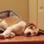 Stacie M. Allen Gosiene's profile image