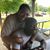 Regina Tolliver Watts's profile image