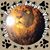 Debra Lawson's profile image