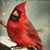 Cheryl Pelkey Fisher's profile image