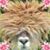 Kathe Muromoto's profile image