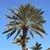 Linda Gulick's profile image