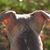 Cheri Melissa's profile image
