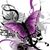 Elizabeth Castro's profile image