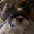 Shawna Havenner Price's profile image