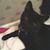 Peggy Breiner's profile image