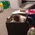 Nancy Gruen's profile image