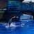 Dave N Stacy Kemper's profile image