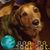 Jeane Helms's profile image