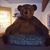 Bruce Smith's profile image