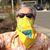 Bruce Wallace's profile image