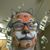 Julie Johnson Rister's profile image