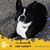 Pam Williams's profile image