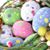 Terry Dunn-Oleary's profile image