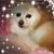 Felicia Jacobson's profile image