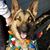 Nancy Randrup-Marchini's profile image