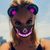 Emily Gribben's profile image