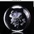 Ginny Lussier's profile image