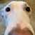 Nicole Maloney's profile image