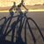 Joel Hild's profile image
