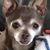 Judi Neujahr's profile image
