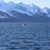 Cynthia Tremper's profile image