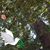 Susan Couveau's profile image