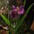 Sandra Deffenbaugh Porter's profile image