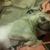 Kim Hampson-Gregory's profile image