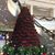 Karen Robinson McDowra's profile image