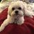 Teisha Long Robertson's profile image