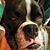 Brenda S Callen's profile image