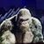 David DP Preschel's profile image