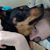 Alicia Mayers's profile image