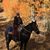 Lynette Arnell's profile image