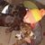 Julee Walters's profile image