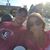 Tammy Crouthamel's profile image
