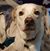 Darrin Blankenship's profile image
