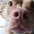 Peggy Lee's profile image