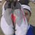 Luis Torres's profile image