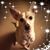 Troy M Zierer's profile image