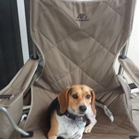 Kathy Kelly's profile image