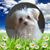 Dexter Trusty's profile image